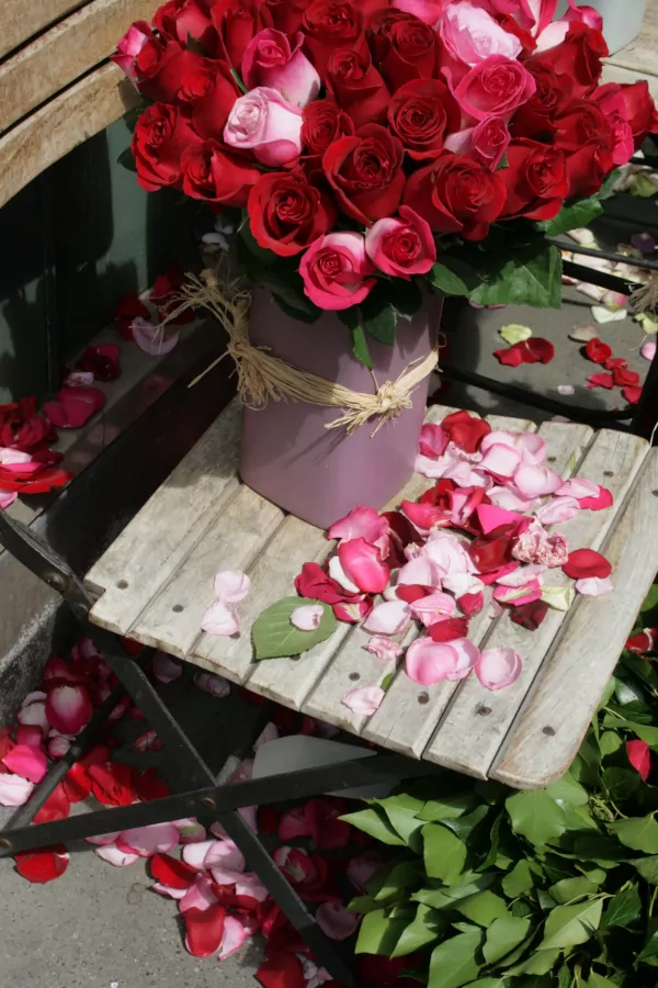 Rosenblätter fallen