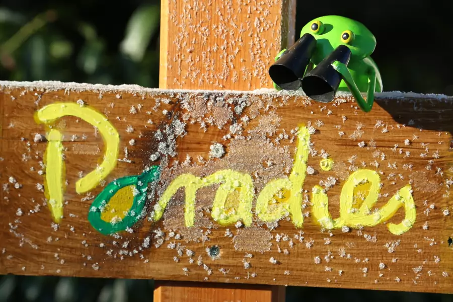 Paradies Podcast